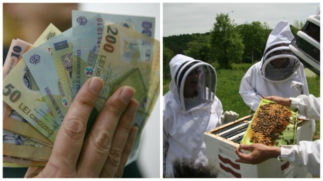 ajutor-de-minimis-pentru-apicultori