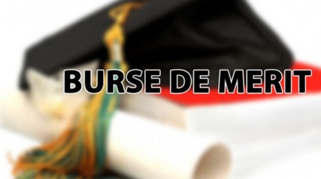 burse-de-merit