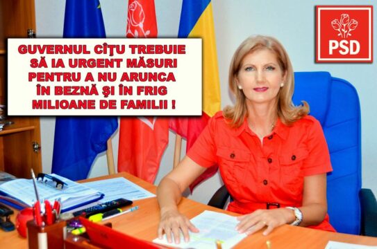 240955196_1310169242772289_8111936626221406108_n