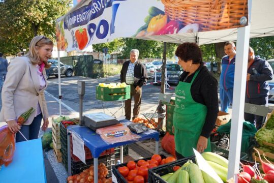 311005655_510370764238621_1284756958703709078_n