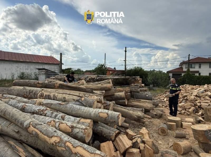 18 TIRURI DE LEMN CONFISCATE LA GIURGIU